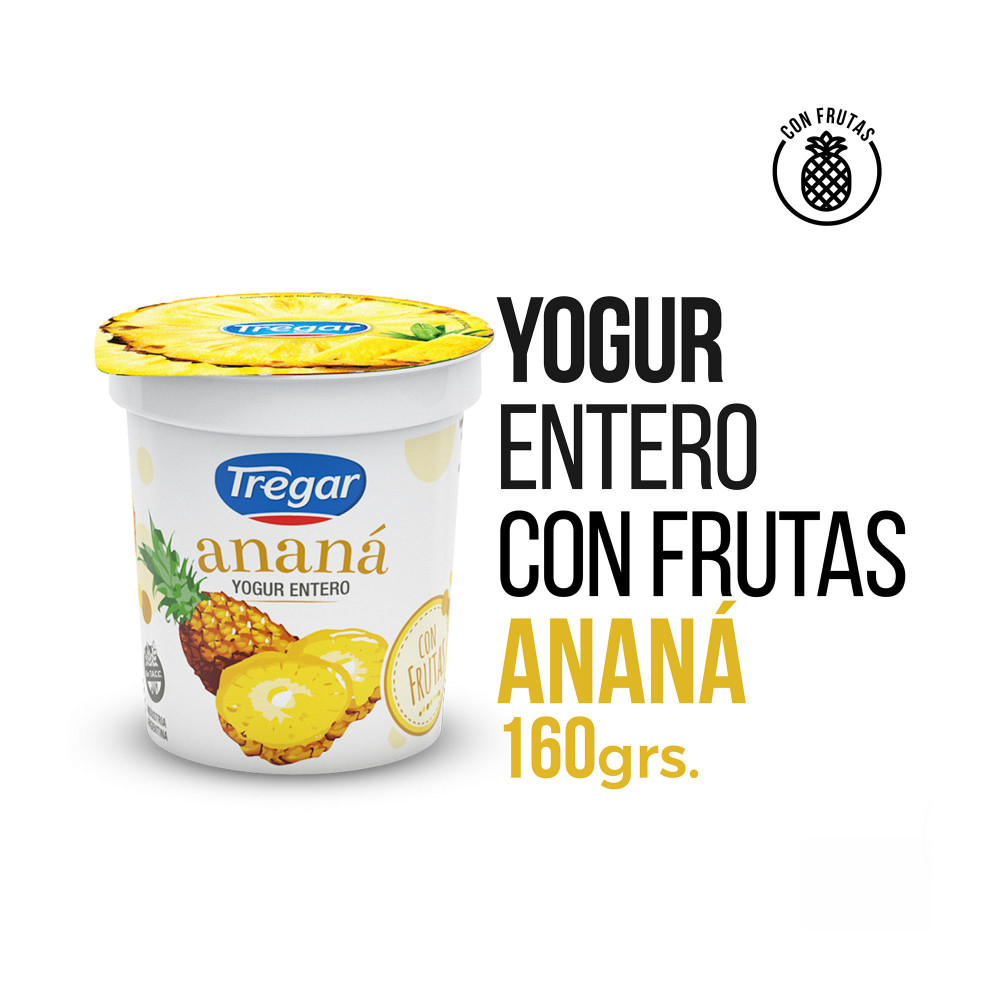 YOGUR C/ ANANA TREGAR 160G