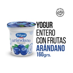 YOGUR C/ARANDANOS TREGAR 160G S.TACC