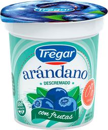 YOGURT C/ARANDANOS DESC.TREGAR 160G S.TACC