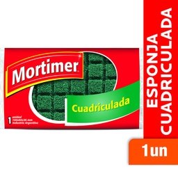 ESPONJA MORTIMER CUADRICULADA